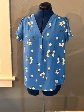 Hilary Radley Blue Floral V-Neck Blouse